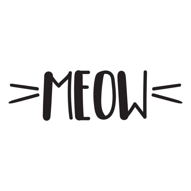 Meow. Vector lettering illustration on white background for print design. Hand drawn concept for print. meowing stock illustrations