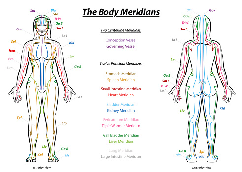 Meridian System Description Chart Female Body