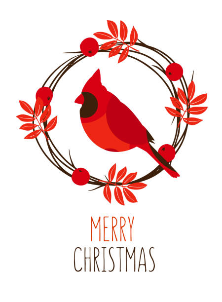 Merry Christmas card with leaves, red cardinal and wreath of branches on white background. Vector.  cardinal stock illustrations