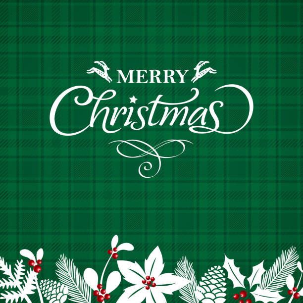ilustrações de stock, clip art, desenhos animados e ícones de merry christmas greeting card - tartan christmas