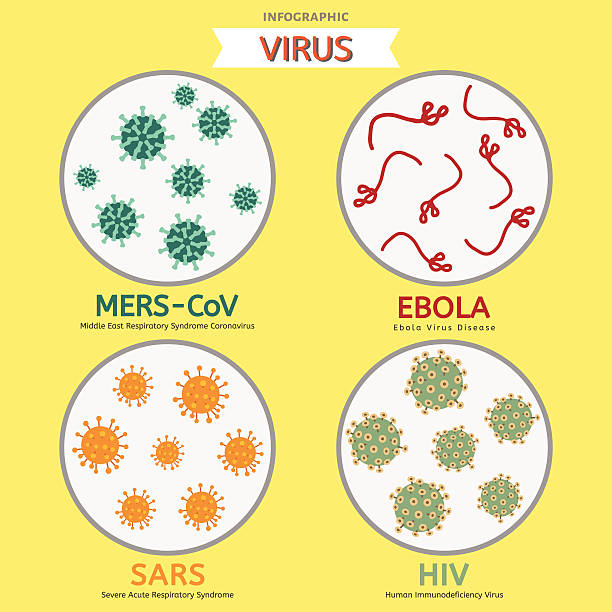 mers-cov 에볼라 sars 에이즈바이러스 바이러스 벡터 ingo 그래픽 - 돌연성 급성호흡기증후군 stock illustrations