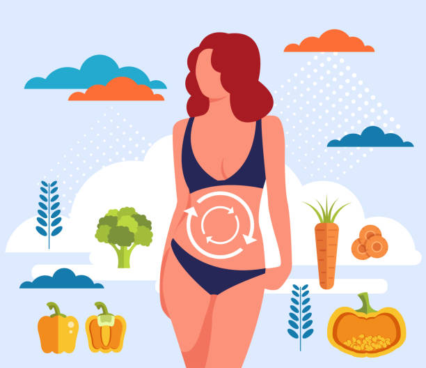 illustrazioni stock, clip art, cartoni animati e icone di tendenza di metabolismo concetto di alimentazione sana. illustrazione di progettazione grafica piatta vettoriale - metabolismo