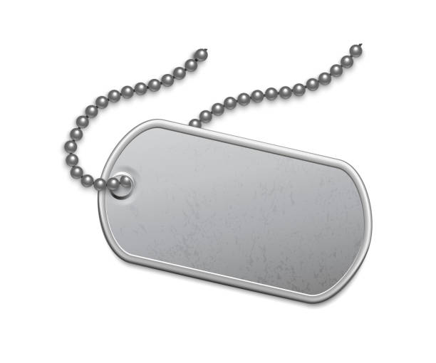 metallic silver badge military with chain template. dog tag on lace. detailed element for army metal token. engraved pendant for identification, blood type. vector illustration. - 士兵 陸軍 幅插畫檔、美工圖案、卡通及圖標
