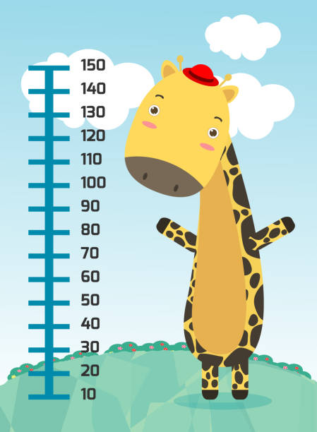 ilustrações de stock, clip art, desenhos animados e ícones de meter wall with giraffe. cheerful funny giraffe height. wall height meter with cute smiling african animal.vector illustration. - doctor wall