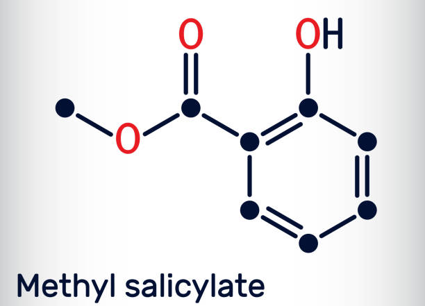 Methyl salicylate, wintergreen oil molecule. It is methyl ester of salicylic acid, flavouring agent, metabolite, insect attractant. Skeletal chemical formula Methyl salicylate, wintergreen oil molecule. It is methyl ester of salicylic acid, flavouring agent, metabolite, insect attractant. Skeletal chemical formula. Vector illustration methyl salicylate stock illustrations