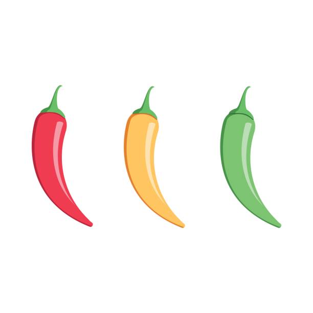 stockillustraties, clipart, cartoons en iconen met mexicaanse jalapeno de pictogram van de vector van het hot chili peper op witte achtergrond. kleuren hete chilipepers set. - pepernoten