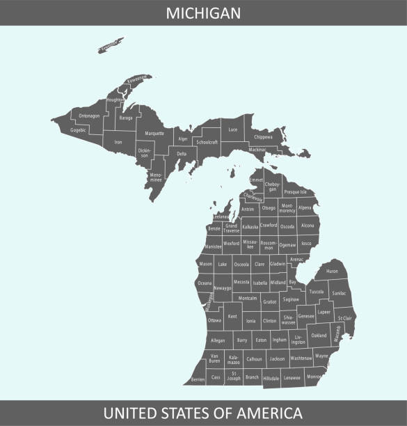карта округов мичиган - michigan stock illustrations