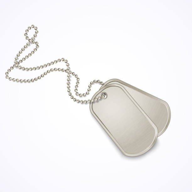 Military dog tags isolated on white Military dog tags isolated on white, vector illustration military clipart stock illustrations