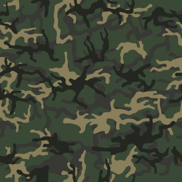 군사 또는 사냥 위장 배경입니다. 완벽 한 패턴입니다. 브라운, 녹색 색상입니다. 벡터 일러스트입니다. - russian army stock illustrations