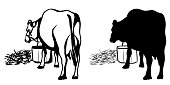 Sketch illustration of a milk cow