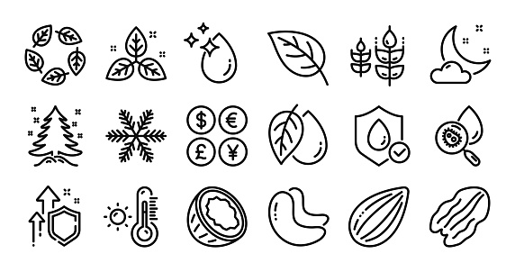 Mineral oil, Snowflake and Pecan nut line icons set. Vector