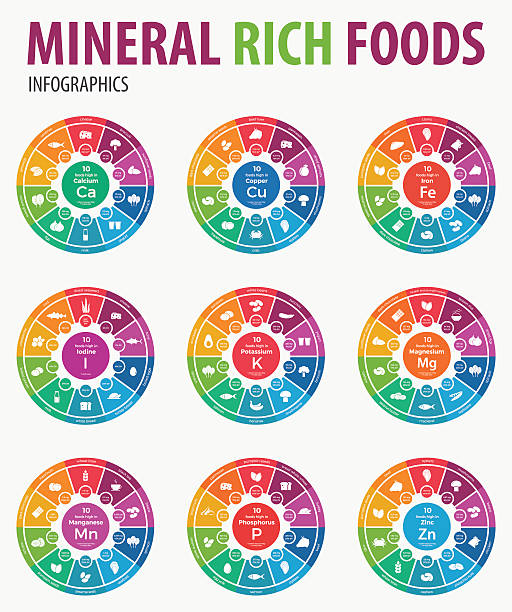 ilustrações de stock, clip art, desenhos animados e ícones de mineral rich foods infographics. vector illustration. - food chart healthy