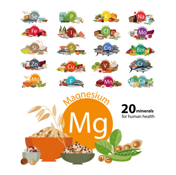 20 minerals "20 minerals for human health" series. Natural organic products rich with a trace substance magnesium. Bases of a healthy nutrition. dietary fiber stock illustrations