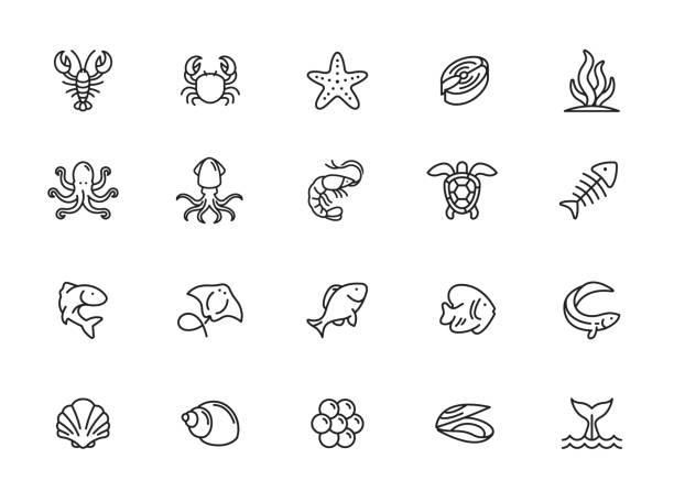 ilustraciones, imágenes clip art, dibujos animados e iconos de stock de mínimo conjunto de iconos de la línea de mariscos de pescado - roe