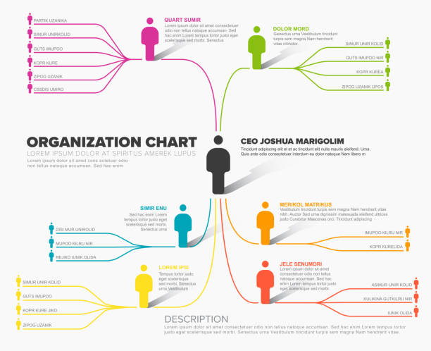Minimalist company organization hierarchy schema diagram template Minimalist company organization hierarchy schema diagram template mind map stock illustrations