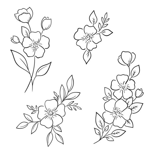 Minimalistic floral decorative elements. For the design of postcards, invitations, stickers, minimal tattoos. Set of natural flower drawings, vector illustration. Minimalistic floral decorative elements. For the design of postcards, invitations, stickers, minimal tattoos. Set of natural flower drawings, vector illustration. flowers tattoos stock illustrations