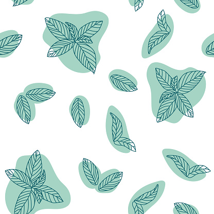 Mint leaves hand drawn vector seamless pattern. Peppermint, spicy herbs, kitchen texture, Doodle cooking ingredient for design package tea, wallpaper, cosmetics, textile, natural organ