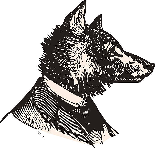 ilustrações, clipart, desenhos animados e ícones de mister wolf - wolf portrait