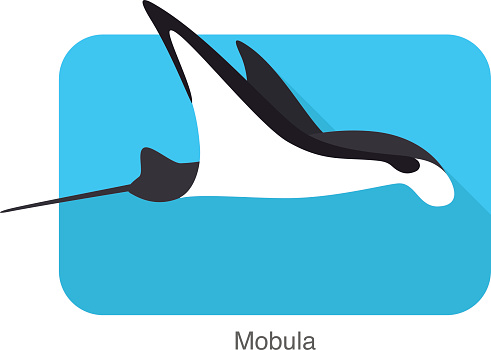 Mobula swimming in the sea, vector