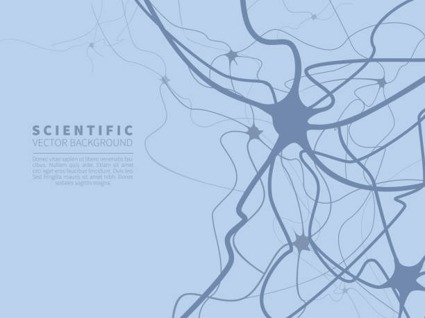 Model of neural system. Scientific vector background for projects on technology, medicine, chemistry, science and education.  human nervous system stock illustrations