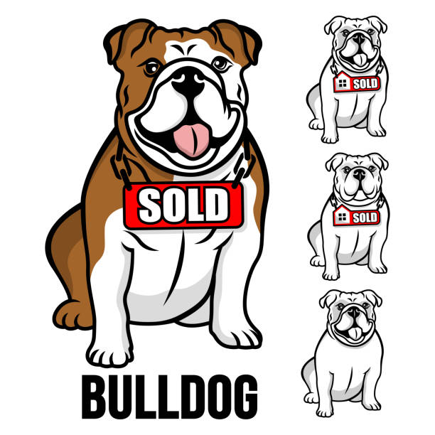 bildbanksillustrationer, clip art samt tecknat material och ikoner med modern amerikansk bulldog och fastigheter logotyp. vektorillustration. - bulldog