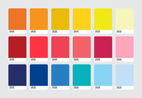 Modern color palette swatch set. Trendy colour catalog samples. Vector illustration.