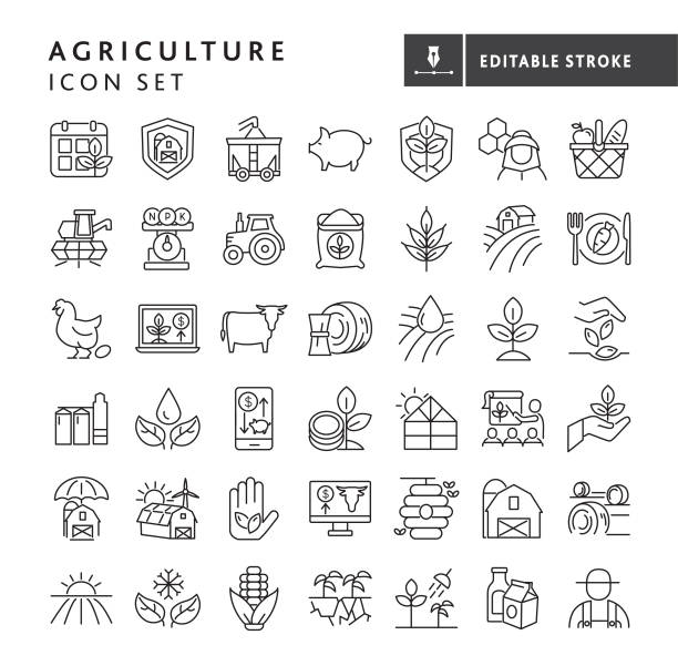 Modern Farm and Agriculture icon concepts thin line style - editable stroke Vector illustration of a big set of 42 farm and agriculture icon concepts thin line style icons. Includes farming schedule, farm protection, harvesting, livestock, bee keeping, farm to table, cash crop prices, irrigation, solar power, growth, planting, seeding concepts, crops dairy farming and farm worker, on white background with no white box below. Fully editable for easy editing. Simple set that includes vector eps and high resolution jpg in download. farm animals stock illustrations