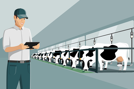 Modern farmer with tablet on a dairy farm