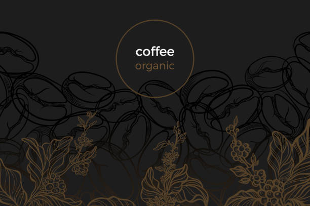 ilustrações de stock, clip art, desenhos animados e ícones de modern template with design organic plant - cafe brasil