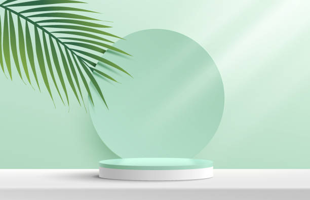 モダンな白、緑のシリンダー台座表彰台。緑のココナッツの葉を背景に緑のパステルサークル。抽象的なベクトルレンダリング3d形状製品の表示プレゼンテーション。最小限の壁のシーン。� - 商品点のイラスト素材／クリップアート素材／マンガ素材／アイコン素材