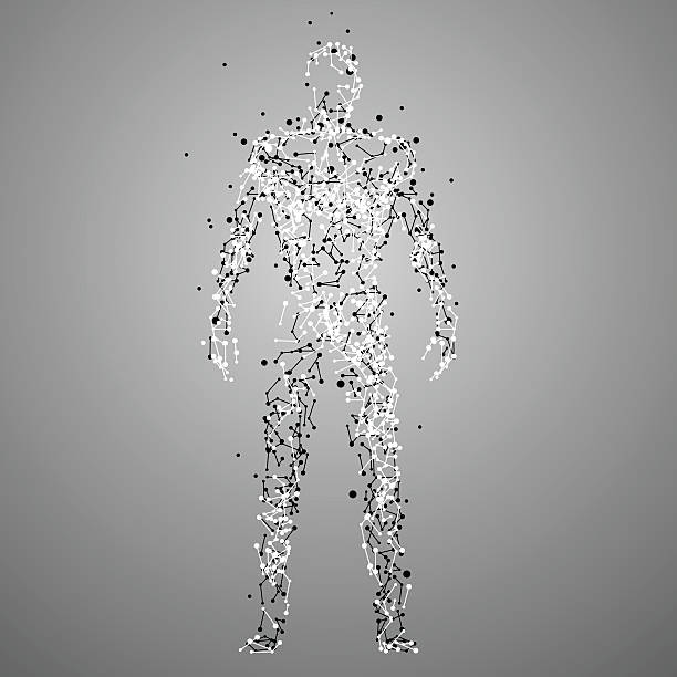 Molecule human silhouette Molecule human silhouette in vector dna silhouettes stock illustrations