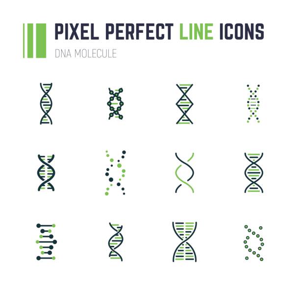 DNA molecule icon set Set of 12 line style DNA molecule icons. Double helix molecule. Linear flat vector illustration. Biotech icons, medecine or science icon. Genetics sign. dna symbols stock illustrations