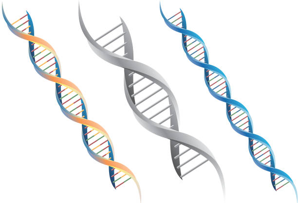 DNA molecule Layer using a transparent effect and mixed mode. helix stock illustrations
