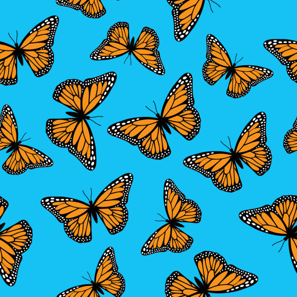 ilustraciones, imágenes clip art, dibujos animados e iconos de stock de patrón sin costuras de mariposas monarca - mariposa monarca