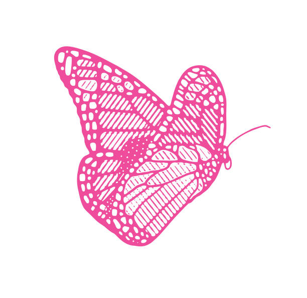 Monarch butterfly flying Monarch butterfly flying pink monarch butterfly stock illustrations