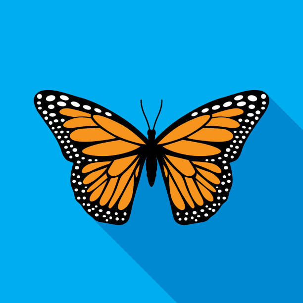 ilustraciones, imágenes clip art, dibujos animados e iconos de stock de icono de mariposa monarca - mariposa monarca