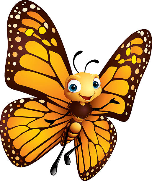 Free butterfly Clipart | FreeImages