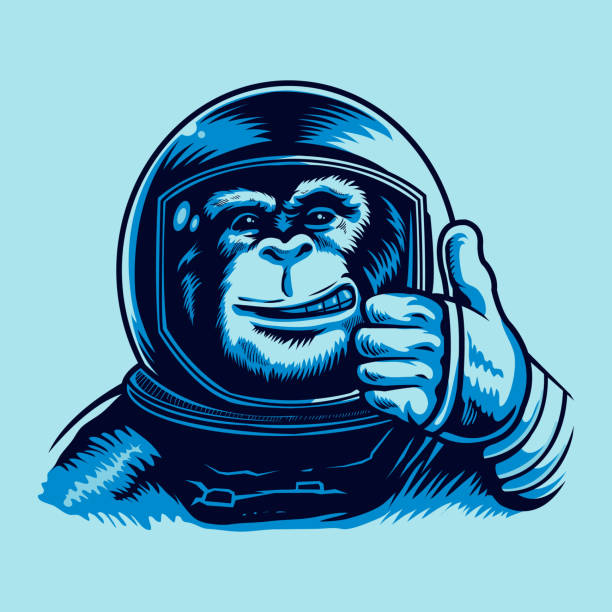 Monkey Astronaut Vector illustration of a Monkey Astronaut in Spacesuit. monkey stock illustrations