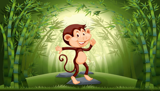 Monkey in bamboo forest illustration