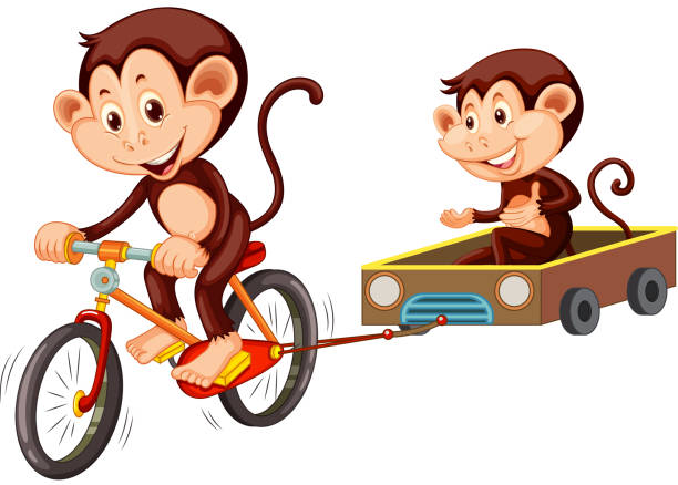 Monkey riding bicycle on white background illustration