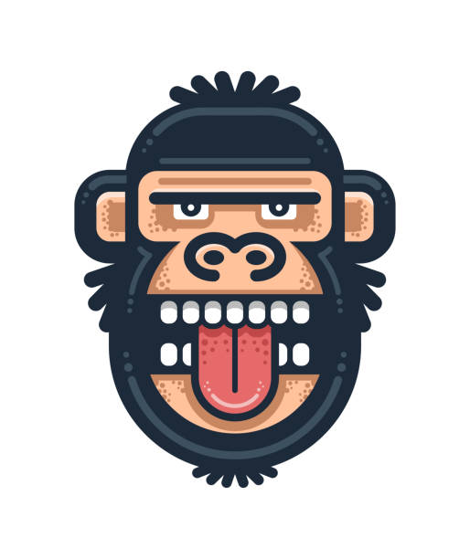Monkey showing tongue illustration. Gorilla head logo Monkey showing tongue illustration. Gorilla head logo king kong monster stock illustrations