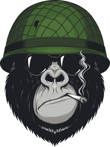 Monkey soldier with a cigarette Vector illustration gorilla soldier wears a helmet and smoking a cigarette Smoking Kills stock illustrations