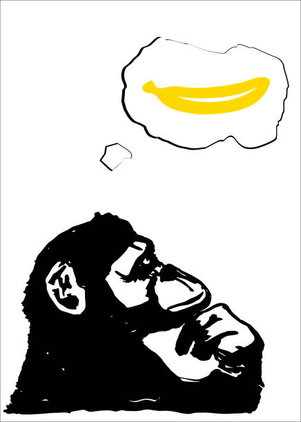 Monkey thinking of banana, Animal abstract background on white background, Vector illustrator. Monkey thinking of banana, Animal abstract background on white background, Vector illustrator. banana silhouettes stock illustrations