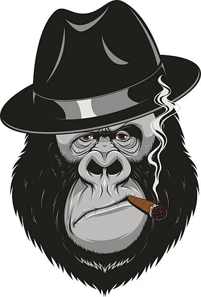 Monkey with a cigar Vector illustration, formidable gorilla gangster smoking a cigar laughing monkey stock illustrations