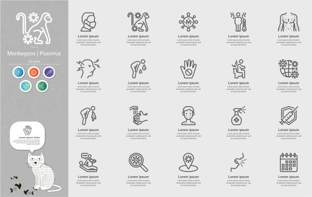 monkeypox , poxvirusline icons content infographic - 猴痘 幅插畫檔、美工圖案、卡通及圖標