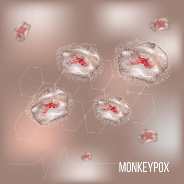 ilustraciones, imágenes clip art, dibujos animados e iconos de stock de virus de la viruela del mono, células de la viruela del mono, vector - monkeypox