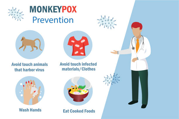 monkeypox virus prevention infographic. doctor explain how to prevent from monkey pox virus outbreak. avoid touch monkey, infected cloth, washing hand and eat cooked foods. - 猴痘 幅插畫檔、美工圖案、卡通及圖標
