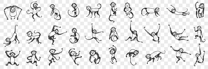 Monkeys enjoying life doodle set
