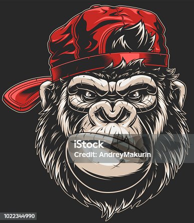 istock Monkey's head in a baseball cap 1022344990