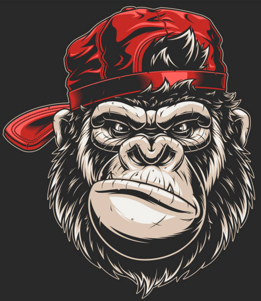 Monkey's head in a baseball cap Vector illustration, severe gorilla in a baseball cap, head isolated, on a white background gorilla stock illustrations